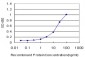 KCTD9 Antibody (monoclonal) (M01)