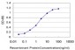 KHDRBS1 Antibody (monoclonal) (M03)