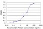 KHSRP Antibody (monoclonal) (M09)