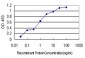 KIAA1510 Antibody (monoclonal) (M01)