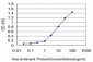 KIAA2002 Antibody (monoclonal) (M02)