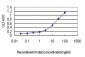 KIF2 Antibody (monoclonal) (M01)