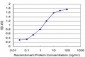 KLF1 Antibody (monoclonal) (M04)