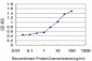 KLF1 Antibody (monoclonal) (M05)