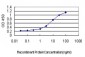 KLF11 Antibody (monoclonal) (M01)