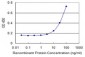 KLF8 Antibody (monoclonal) (M09)