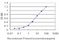 KLK6 Antibody (monoclonal) (M01)