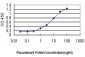 KLK8 Antibody (monoclonal) (M01)