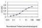 KNTC2 Antibody (monoclonal) (M01)