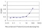 KPNA5 Antibody (monoclonal) (M01)