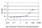 KRAS Antibody (monoclonal) (M01)
