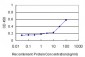 KRAS Antibody (monoclonal) (M01)