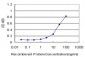 KRT17 Antibody (monoclonal) (M02)