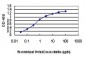 KSR2 Antibody (monoclonal) (M02)