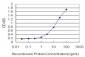 LAMC1 Antibody (monoclonal) (M03)