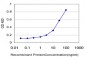 LASS4 Antibody (monoclonal) (M01)