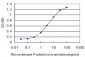 LDB3 Antibody (monoclonal) (M06)