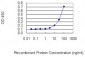 LDLRAP1 Antibody (monoclonal) (M01)