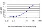 LEF1 Antibody (monoclonal) (M03)