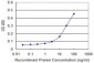 LFNG Antibody (monoclonal) (M01)