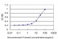 LHX1 Antibody (monoclonal) (M01)