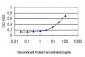 LIMK2 Antibody (monoclonal) (M01)