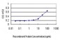 LMO3 Antibody (monoclonal) (M04)