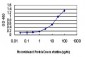 LMO3 Antibody (monoclonal) (M08)