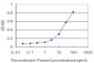 LMO4 Antibody (monoclonal) (M01)