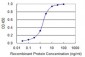 LMTK3 Antibody (monoclonal) (M02)