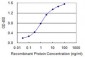 LMTK3 Antibody (monoclonal) (M03)