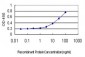 LOXL2 Antibody (monoclonal) (M01)