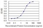 LSP1 Antibody (monoclonal) (M07)