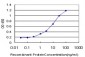 LW-1 Antibody (monoclonal) (M02)