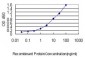 MAD2L1 Antibody (monoclonal) (M01)