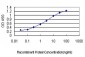 MAF Antibody (monoclonal) (M01)