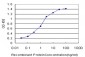 MAGI2 Antibody (monoclonal) (M01)