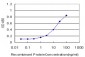 MAML2 Antibody (monoclonal) (M03)