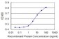 MAP3K7IP1 Antibody (monoclonal) (M01)