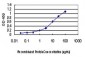 MAPK13 Antibody (monoclonal) (M03)