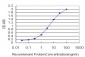 MAPK9 Antibody (monoclonal) (M02)