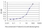 MAPK9 Antibody (monoclonal) (M03)