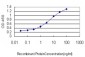 MAPKAPK2 Antibody (monoclonal) (M01)