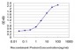 MARCH7 Antibody (monoclonal) (M01)