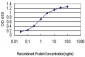 MARCKS Antibody (monoclonal) (M06)