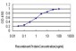 MARK2 Antibody (monoclonal) (M01)