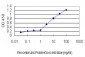 MAZ Antibody (monoclonal) (M05)