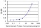 MBD1 Antibody (monoclonal) (M02)