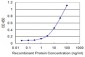 MBD1 Antibody (monoclonal) (M05)