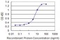 MBNL1 Antibody (monoclonal) (M01)